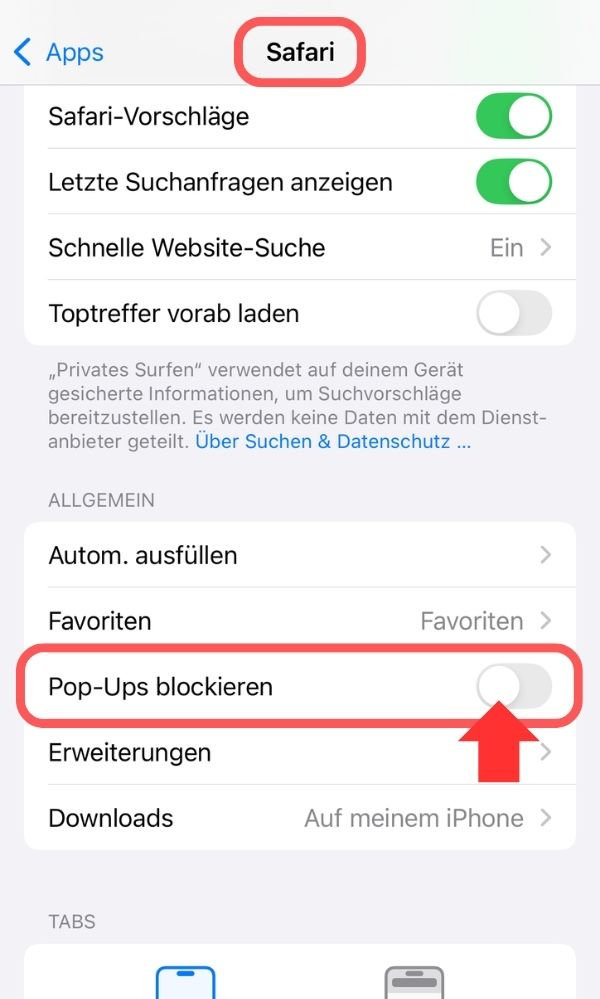 Safari-iOS-Einstellungen.jpg